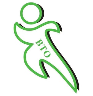 Logo for Guangdong BTO New Material Co., Ltd.