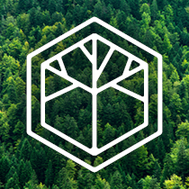 Logo for Element5 | HASSLACHER Group