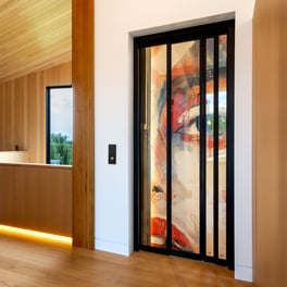 Savaria Home elevator