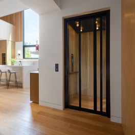 Savaria Home elevator
