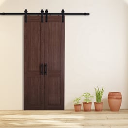 Double barn door
