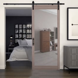 Mirror barn door