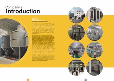 Company Introduction