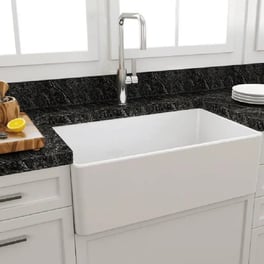 Ceramic Kitchen Sink