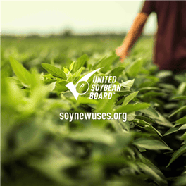 United Soybean Board