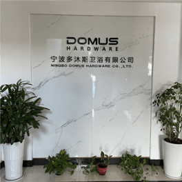 company-Domus