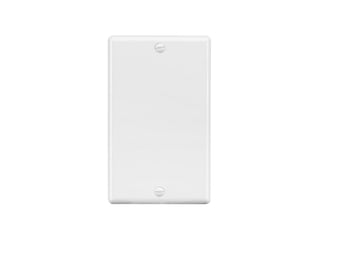 1-Gang No Device Blank Wall Plate(Standard Size)