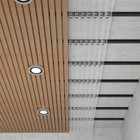 Image for Ceiling Systems