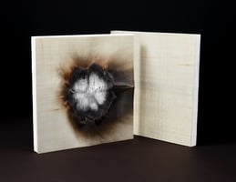 Image for Hammerhead™ FR Flame Retardant Composite Panels