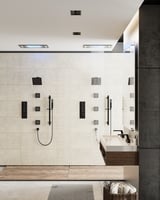 Image for Welleness shower systerm