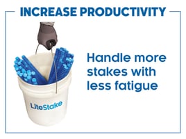 Image for LiteStake